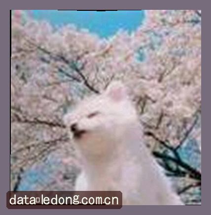 赵琳