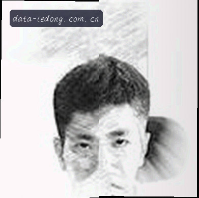 刘洋